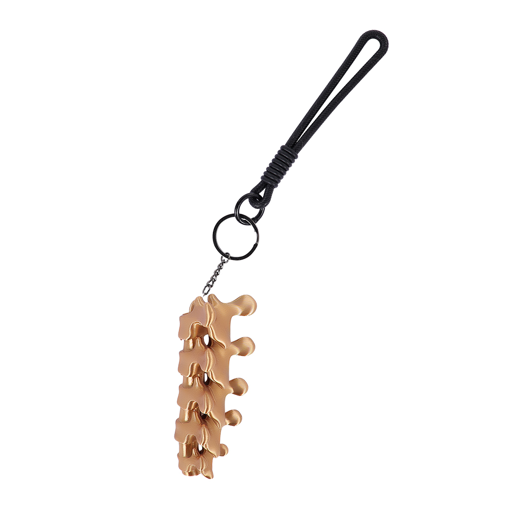 Odyssey 2026 Plastic Ruggengra - Women'S Key Accessories recensie en prijs