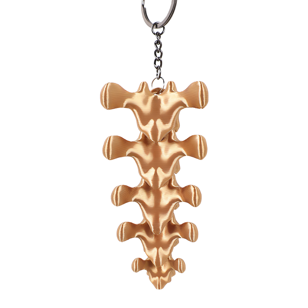 Odyssey 2026 Plastic Ruggengra - Women'S Key Accessories recensie en prijs