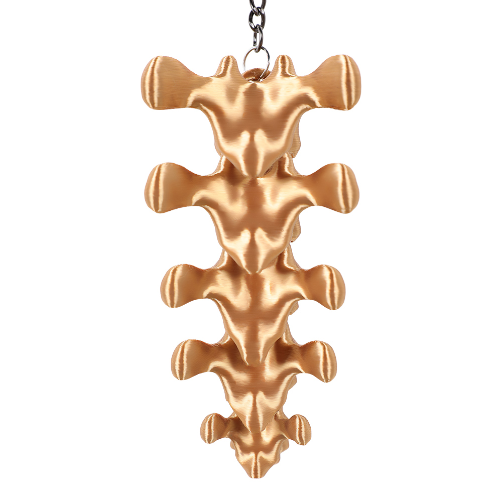 Odyssey 2026 Plastic Ruggengra - Women'S Key Accessories recensie en prijs